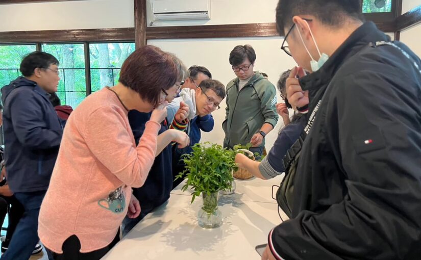 香草植物介紹