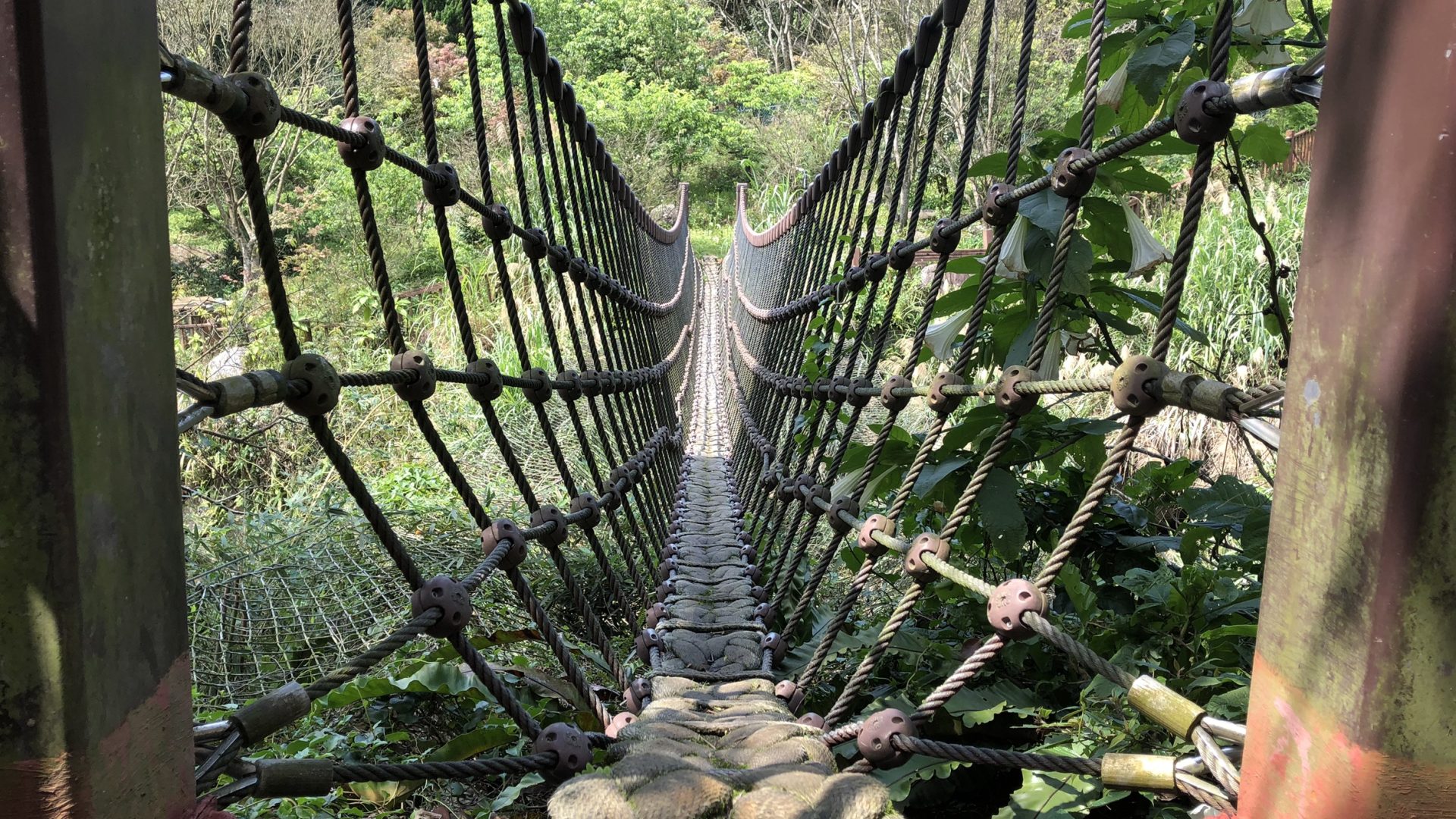 園區-吊橋